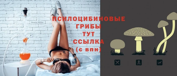 ешки Алексеевка