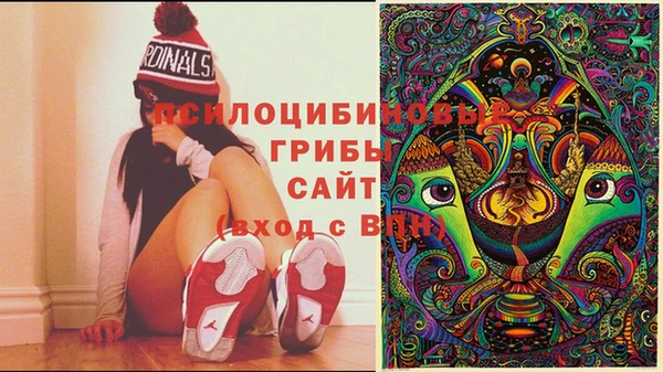ешки Алексеевка