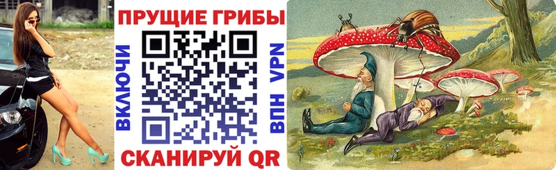 Псилоцибиновые грибы Psilocybe  Злынка 